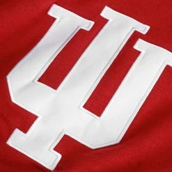 Colosseum Youth Crimson Indiana Hoosiers Big Logo Pullover Hoodie -Colosseum Shop DSCO1136780341 4633 ALT2