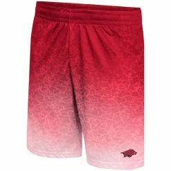 Men's Colosseum Cardinal Arkansas Razorbacks Walter Shorts 6 Men's Colosseum Cardinal Arkansas Razorbacks Walter Shorts -Colosseum Shop DSCO1136780822 4633 ALT2