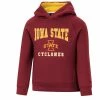 Colosseum Toddler Cardinal Iowa State Cyclones Chimney Sweep Raglan Pullover Hoodie
