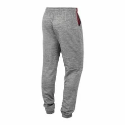 Colosseum Men's Gray Iowa State Cyclones Worlds To Conquer Sweatpants -Colosseum Shop DSCO1156132900 1927 ALT3