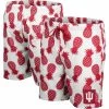 Colosseum Men's White/Crimson Indiana Hoosiers Pineapple Swim Shorts